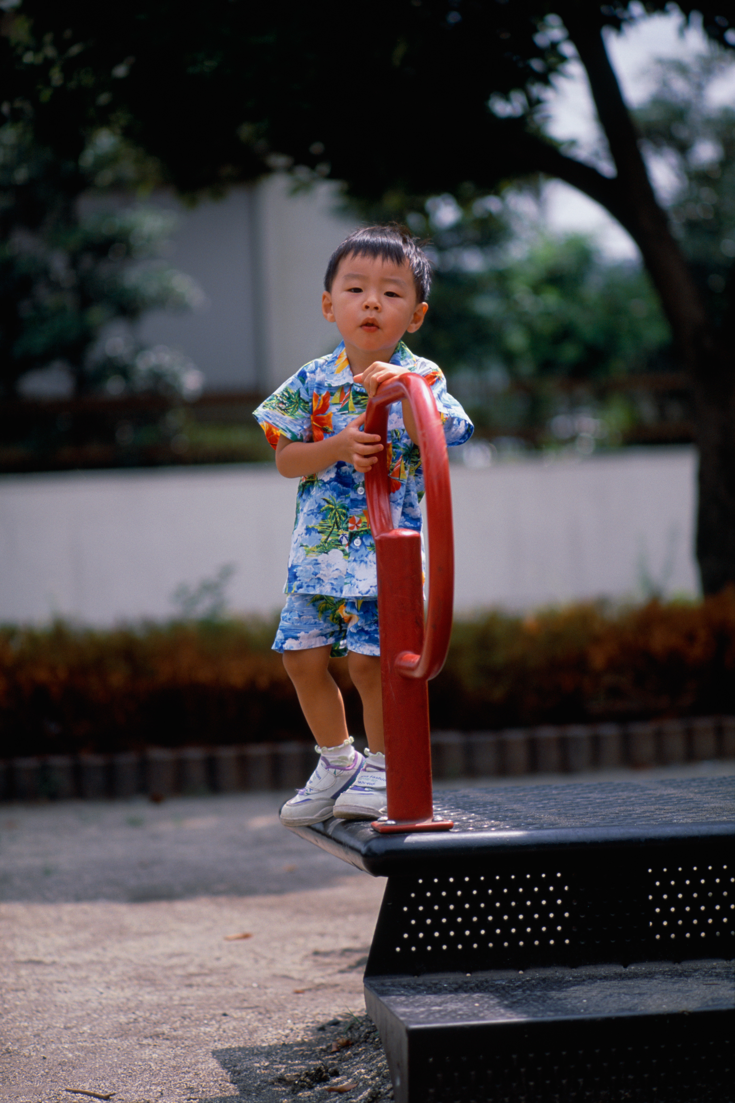 【即納あり】nikon 105mm f2.5 レンズ(単焦点)