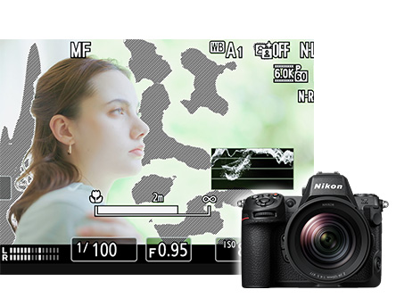 Video Shooting: Exposure Control for N-Log Recording