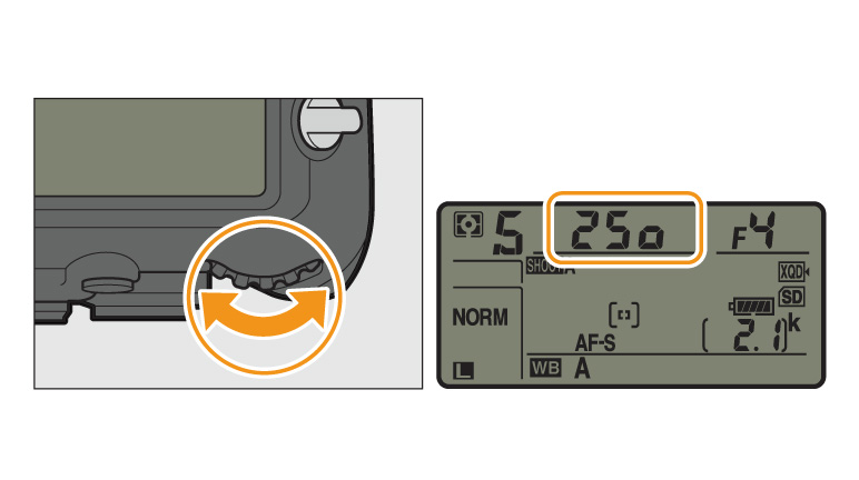 The Nikon D500 – Moving Pictures