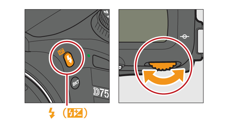 How to Use the Nikon D7500 - Tips, Tricks and Manual Settings