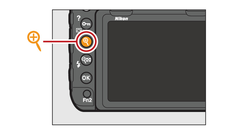 D850 TIPS - Controls and Displays, Technical Solutions