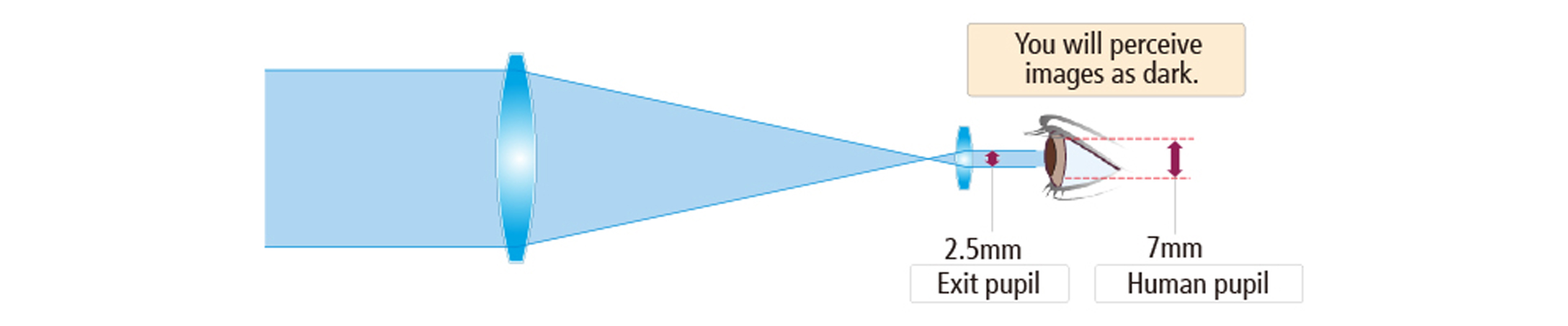 what-is-exit-pupil-in-binoculars-binocular-base