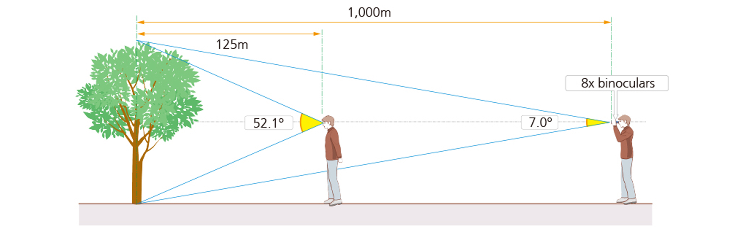 Field Of View Basic Information About Binoculars Nikon Consumer
