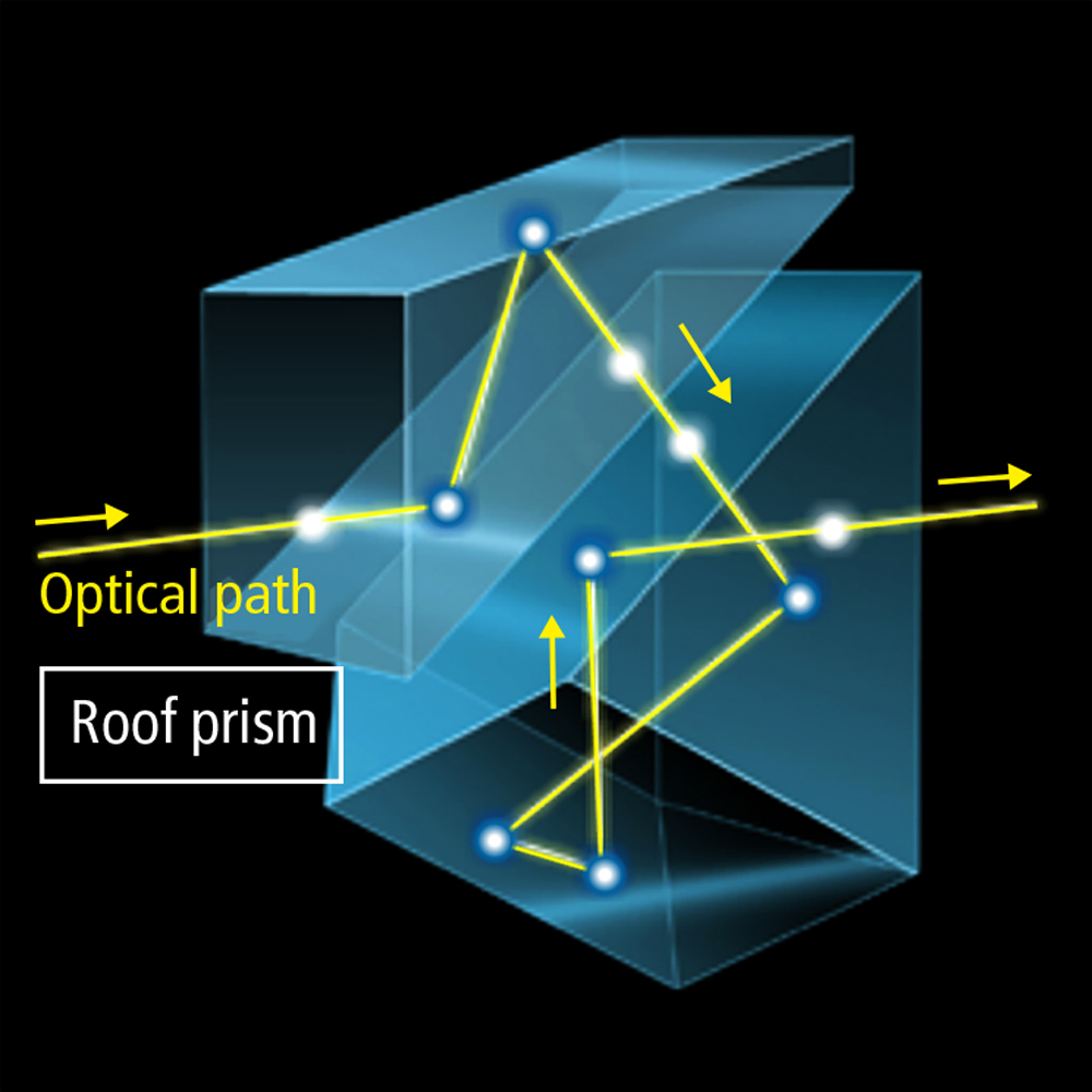 Binocular store prism types