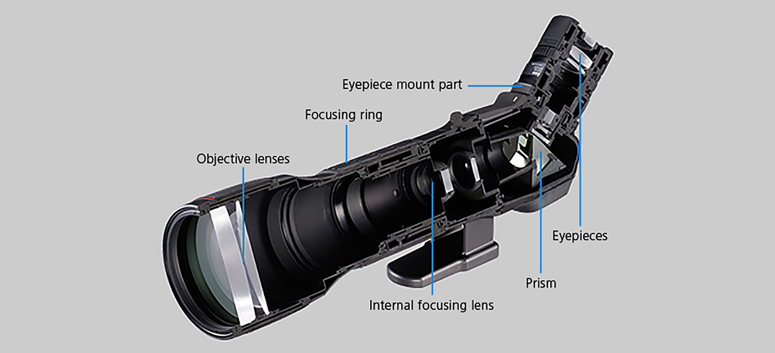 What is a Fieldscope? | Sport Optics Guide -Fieldscopes- | Nikon Consumer