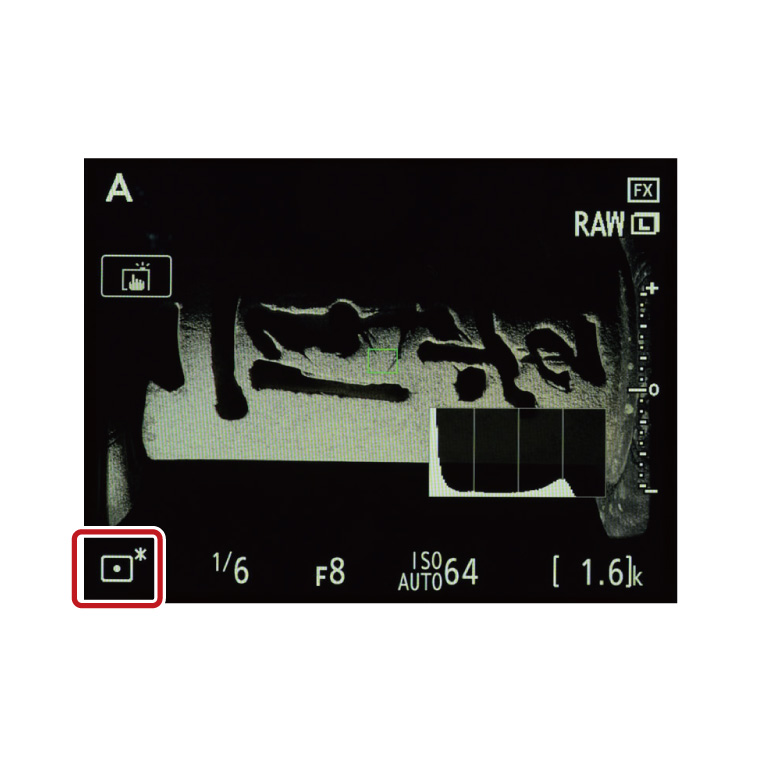 Nikon Imaging Products Digitutor D850