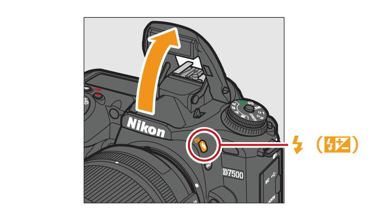 Kabelbaan Toeval Commandant Nikon | Imaging Products | Digitutor | D7500